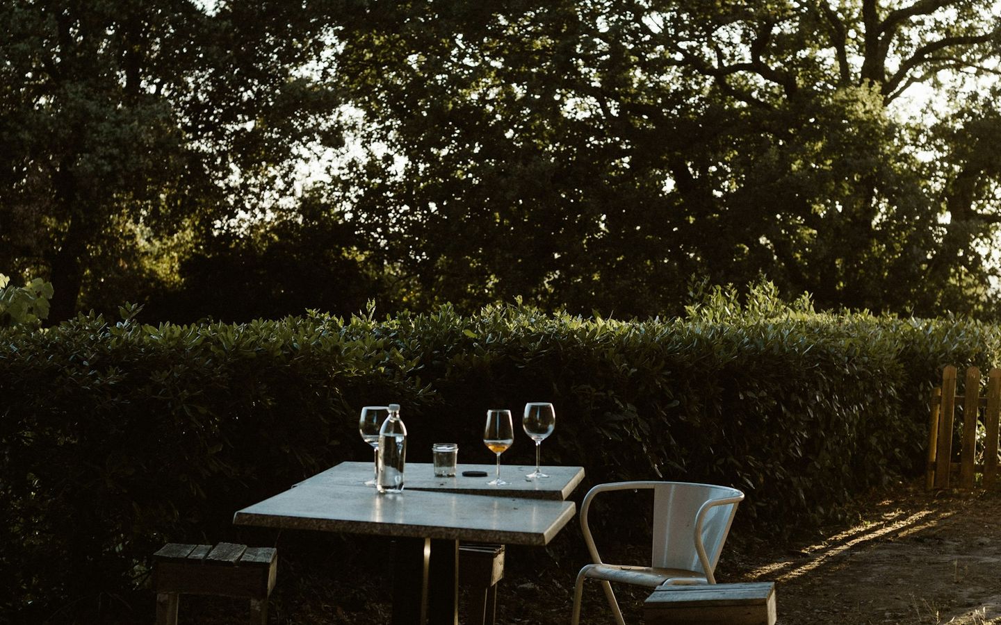 Table set for two under a tree in the evening light